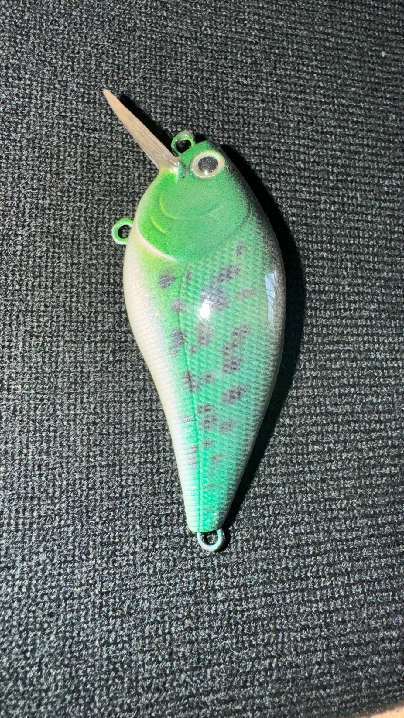 Raging Rattle Crappie